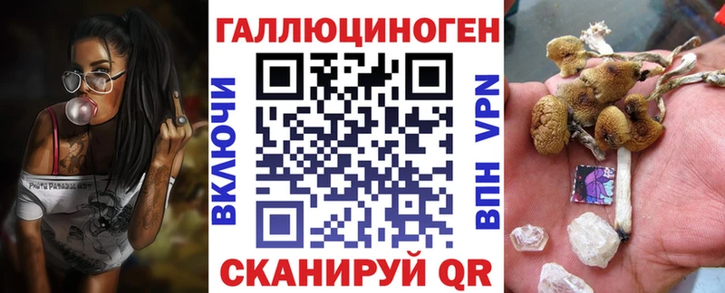 дарк нет какой сайт  Новочеркасск  Галлюциногенные грибы мухоморы 